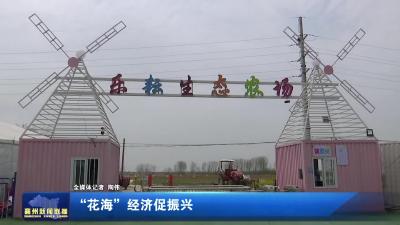 “花海”经济促振兴