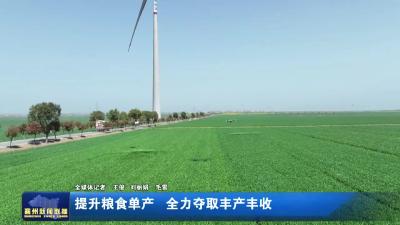 提升粮食单产  全力夺取丰产丰收