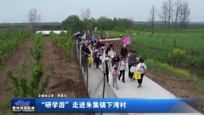 “研学游”走进朱集镇下湾村