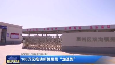 100万元推动新鲜蔬菜“加速跑”