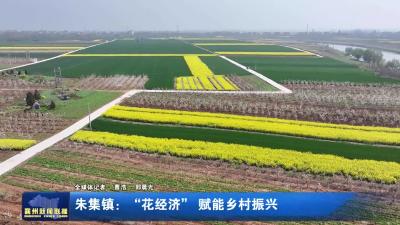 朱集镇：“花经济”赋能乡村振兴