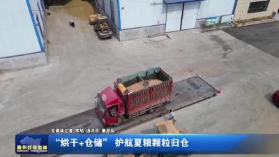 “烘干+仓储” 护航夏粮颗粒归仓