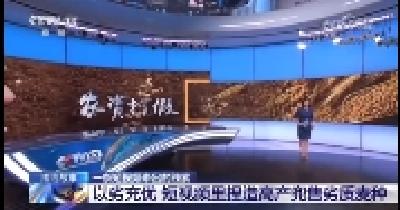 【央视看襄州】法治故事 一条短视频牵出的线索.mp4