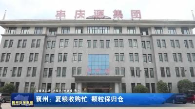 襄州：夏粮收购忙 颗粒保归仓
