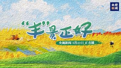 回放丨“丰”景正好～开镰！走进襄州看现代科技助力麦收