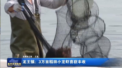 龙王镇：3万亩稻田小龙虾喜获丰收