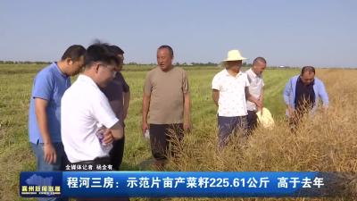 程河三房：示范片亩产菜籽225.61公斤 高于去年