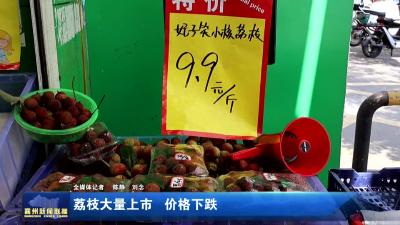 荔枝大量上市  价格下跌