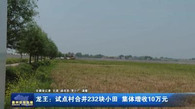 龙王：试点村合并232块小田 集体增收10万元