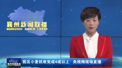我区小麦机收完成4成以上  央视频现场直播