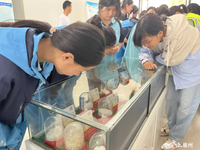 朱集镇举办“6.3”虎门销烟纪念日活动