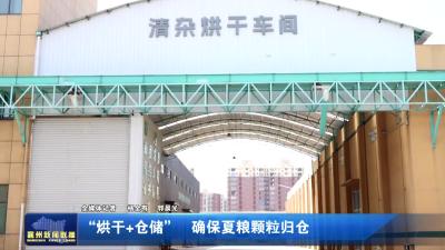 “烘干+仓储” 确保夏粮颗粒归仓