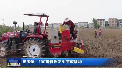 双沟镇：100亩特色花生完成播种