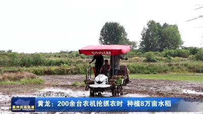 黄龙：200余台农机抢抓农时 种植8万亩水稻