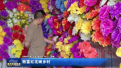 致富红花映乡村