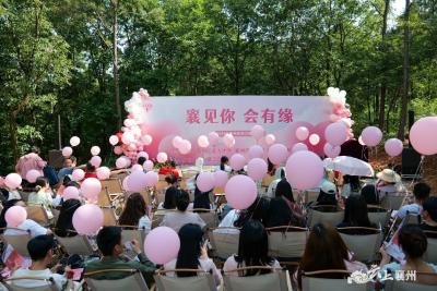 襄州区举办“襄见你·会有缘”青年职工联谊活动