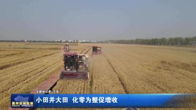 小田并大田 化零为整促增收
