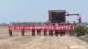 “楚襄1号”品种小麦亩产达715.18公斤