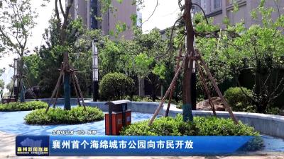 襄州首个海绵城市公园向市民开放