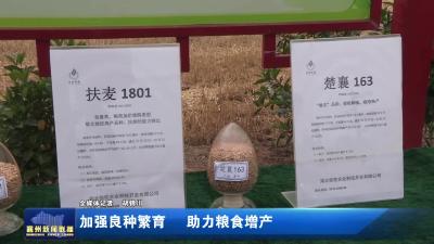 加强良种繁育 助力粮食增产