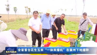 全省首台花生玉米“一体双播机”在襄州下地播种