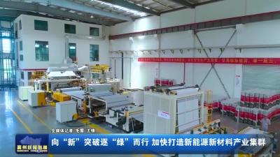 向“新”突破 逐“绿”而行 加快打造新能源新材料产业集群