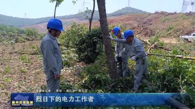 烈日下的电力工作者