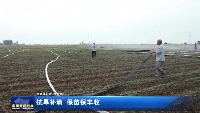 抗旱补墒  保苗保丰收