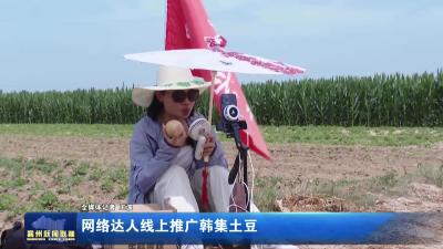 网络达人线上推广韩集土豆