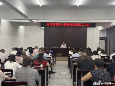 肖湾街道召开新乡贤联谊组织成立大会