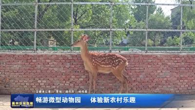 畅游微型动物园 体验新农村乐趣