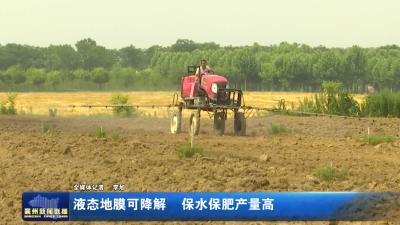 液态地膜可降解  保水保肥产量高