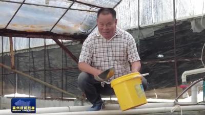 “调水”育活致富鲈鱼苗