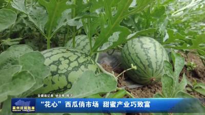 “花心”西瓜俏市场 甜蜜产业巧致富