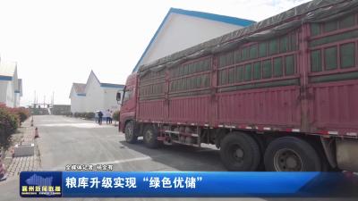 粮库升级实现“绿色优储”