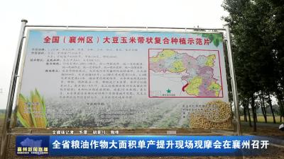 全省粮油作物大面积单产提升现场观摩会在襄州召开