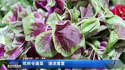 吃时令蔬菜  清凉度夏
