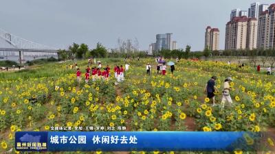 城市公园 休闲好去处