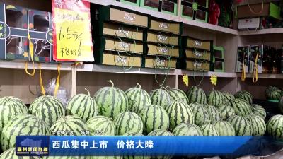 西瓜集中上市  价格大降