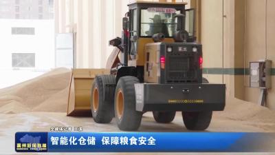 智能化仓储 保障粮食安全