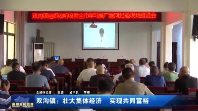 双沟镇：壮大集体经济  实现共同富裕