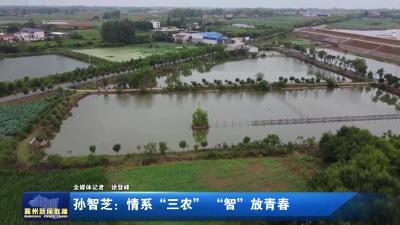 孙智芝：情系“三农”“智”放青春