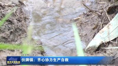 伙牌镇：齐心协力生产自救