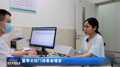 夏季犬伤门诊患者增多