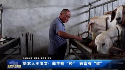 新农人王汉文：养羊有“经”  致富有“道”