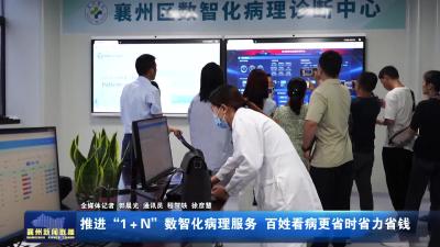推进“1＋N”数智化病理服务 百姓看病更省时省力省钱