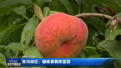 双沟胡庄：蟠桃香飘致富路