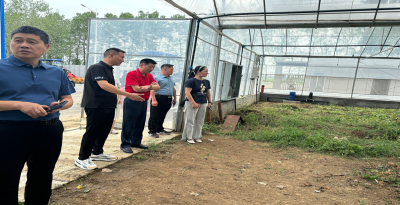 湖北省供销合作社领导到襄州考察调研