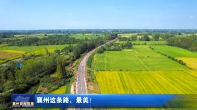 襄州这条路，最美！