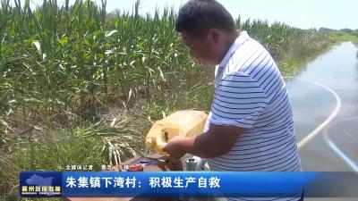 朱集镇下湾村：积极生产自救